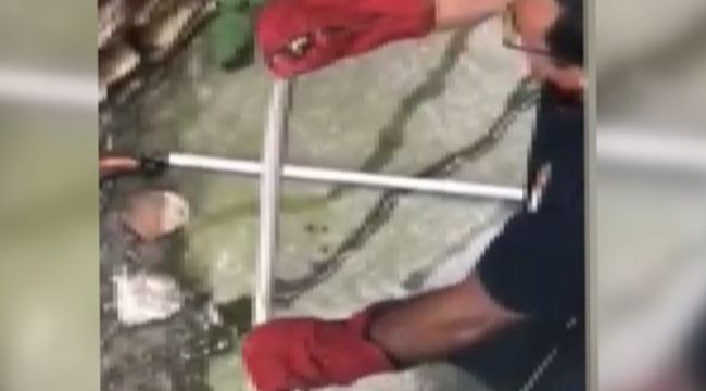 Evin istinat duvarına giren yılan korkuttu