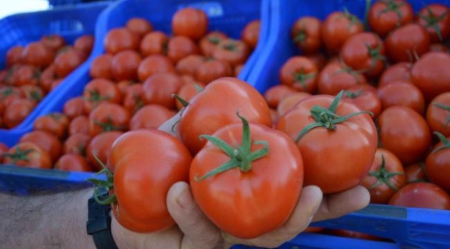 FİYATI EN FAZLA ARTAN ÜRÜN DOMATES OLDU