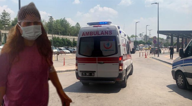 Gelin-kayınpeder arasında &#039;mangalda tavuk&#039; kavgası