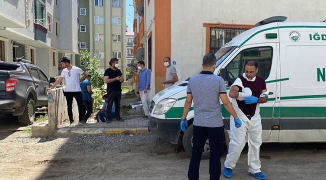 Görenler dehşete düştü! Sandıkta bulundu...