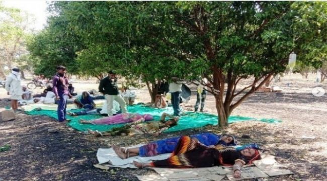 Hindistan'da Covid-19 hastaları portakal bahçelerinde tedavi görüyor
