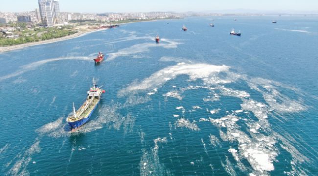 İstanbul sahillerini istila eden deniz salyalarında yoğunluk arttı