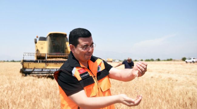 Kepez'de hasat başladı