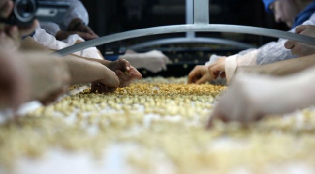 Korona virüs salgını fındık fiyatlarını ve ihracatını olumsuz etkiliyor