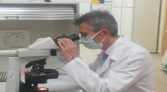 Koronavirüste hızlı tarama için 'havuz test' önerisi