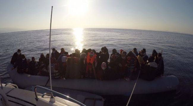 MSB:'81 düzensiz göçmen kurtarıldı'