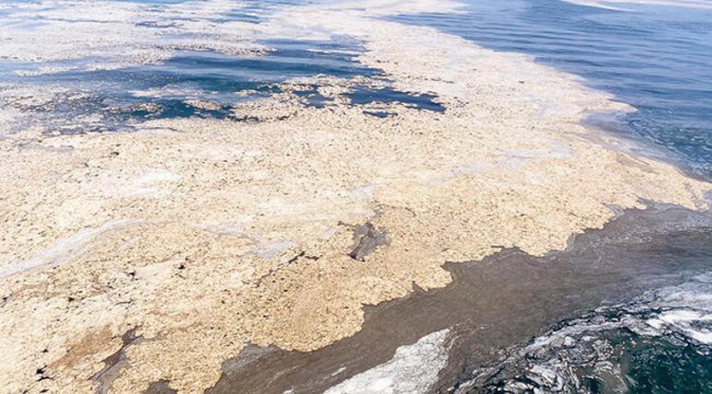 Müsilaj sorununu çözmek için bilim insanları Marmara'ya açıldı