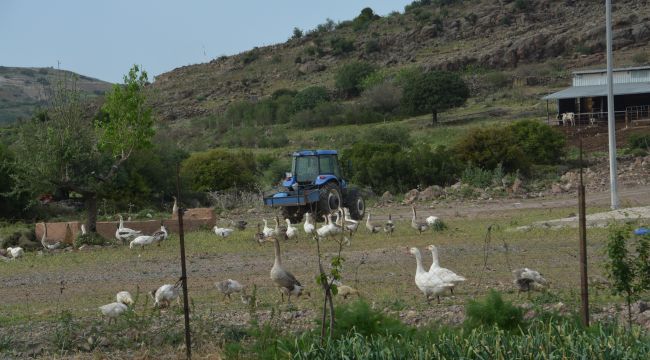 O MAHALLELERDEKİ VATANDAŞLARDAN EKONOMİYE KATKI