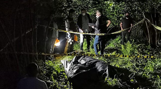 Ordu'da hafif ticari araç dereye yuvarlandı
