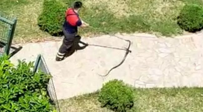 Osmaniye'de çocuk parkında yılan paniği
