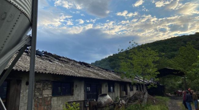 Sakarya'da tavuk çiftliğinde yangın
