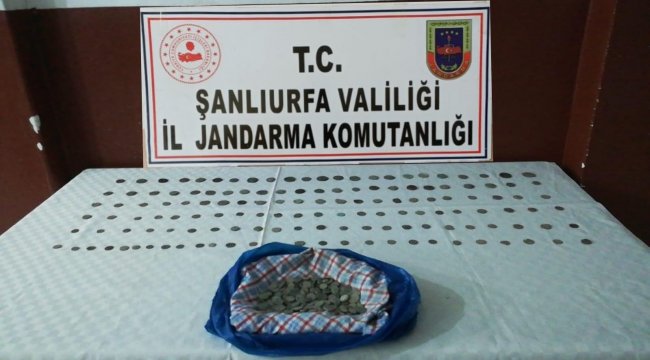 Şanlıurfa'da çeşitli dönemlere ait 547 sikke ele geçirildi