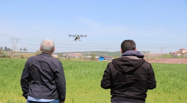 Tarım arazileri dronla ilaçlandı