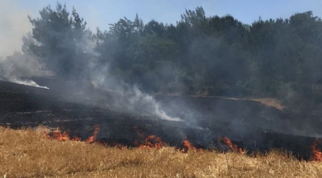 Tarladan ormanlık alana sıçrayan yangın söndürüldü