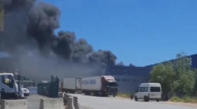 Tuzla'da lojistik firmasına ait depoda yangın