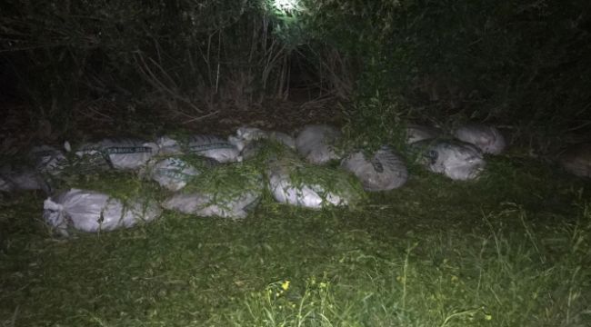 Van'da 2,5 ton kaçak avlanmış inci kefali ele geçirildi