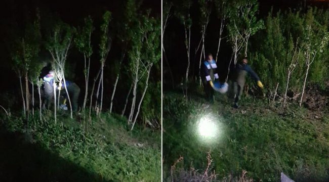 Van'da kaçak avlanan 300 kilo inci kefali, imha edildi
