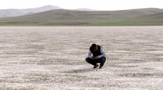 Van'ın kuş cenneti Akgöl tamamen kurudu