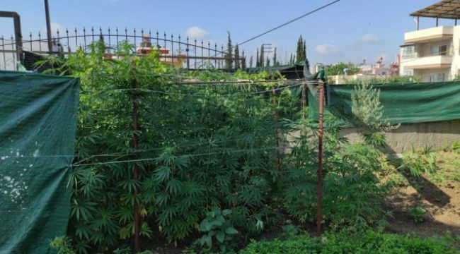 Adana'da uyuşturucu operasyonu
