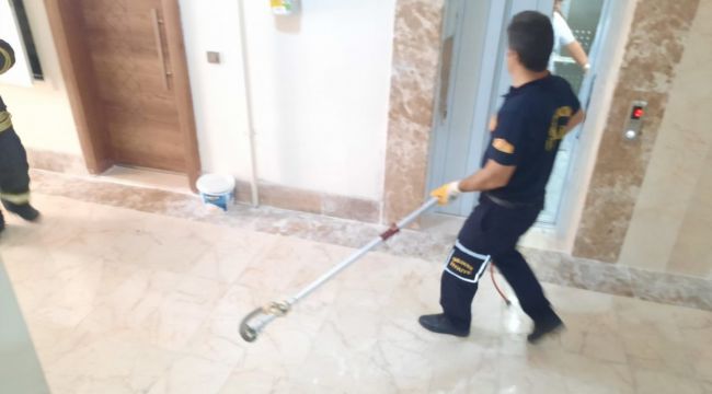 Apartmana giren yılan korkuttu
