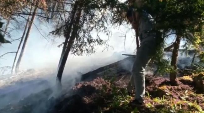 Artvin'de korkutan orman yangını