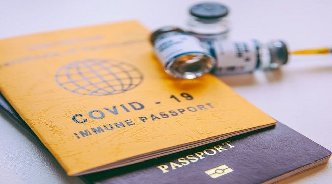 AŞI KARTI NASIL ALINIR, HANGİ ÜLKELERDE GEÇERLİ?