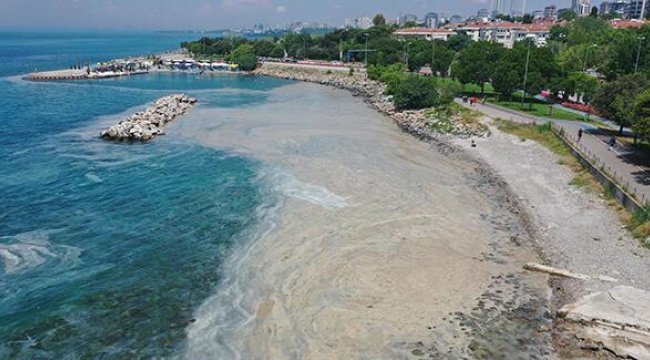 Bakan Kurum Marmara Denizi'nden toplanan müsilaj miktarını açıkladı