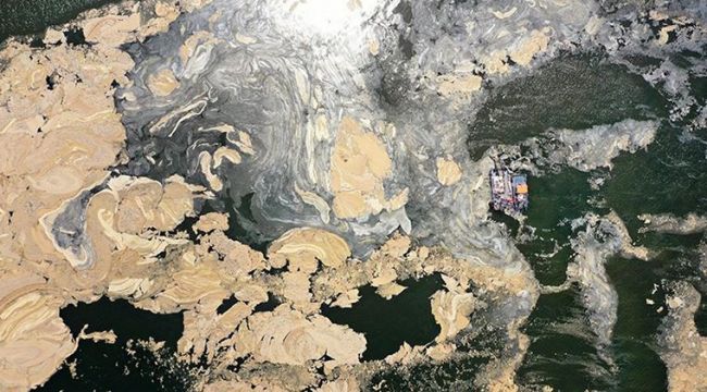 Bilim Kurulu üyesinden müsilaj açıklaması