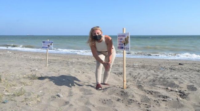 Carettalar, Mersin sahillerine yumurta bırakmaya başladı