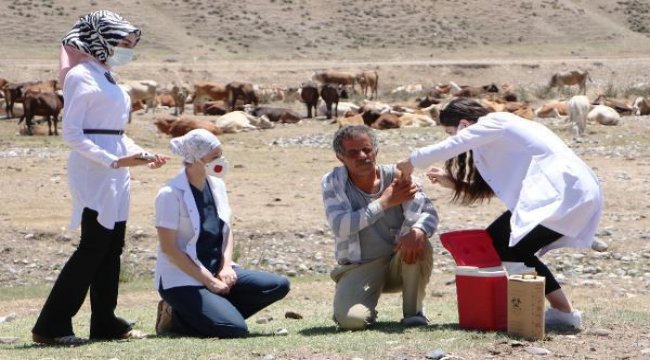 Dağları taşları aşıp, çobanların korona aşılarını yaptılar