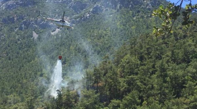 Datça'da orman yangını