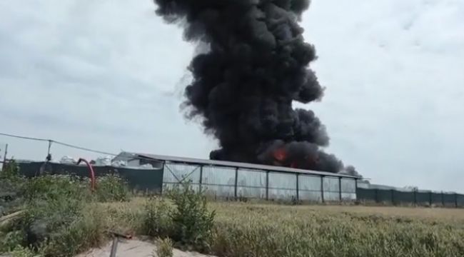 Geri dönüşüm fabrikasında korkutan yangın