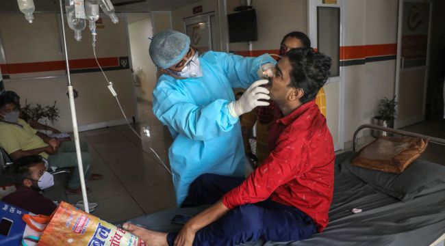 Hindistan'ın Jarkand eyaletinde kara mantar, 'epidemi' ilan edildi