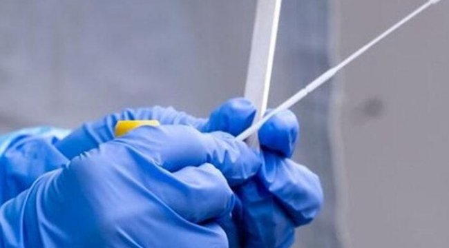 İsveç'te yaklaşık 100 bin kişiye sahte PCR testi satıldığı iddiasıyla inceleme başlatıldı