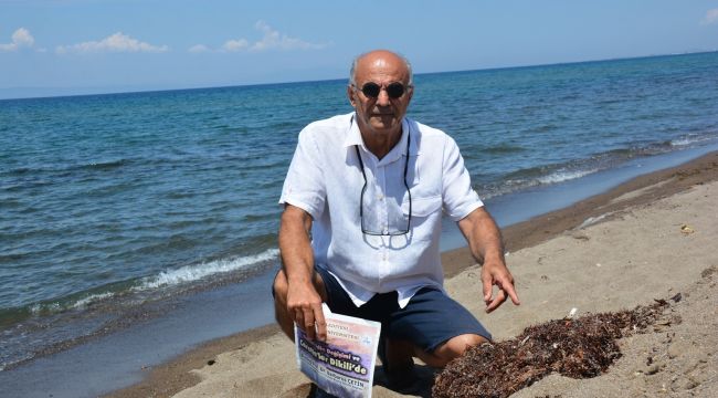 İZMİR'DE SARGASSUM TEHDİDİ