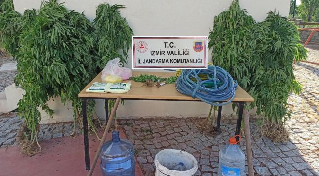 JANDARMADAN ZEHİR TACİRLERİNE DARBE