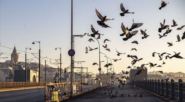 KADEMELİ NORMALLEŞME DÖNEMİ BAŞLADI