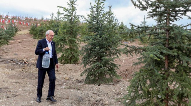 Kılıçdaroğlu'ndan 'Çevre Günü' mesajı