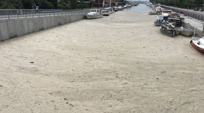 Kurbağalıdere deniz salyası ile kaplandı