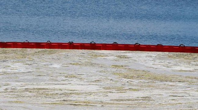 Marmara Denizi için kritik toplantı yarın Dolmabahçe'de yapılacak