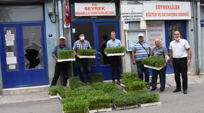 YERLİ TOHUMLAR TOPRAKLA BULUŞTU