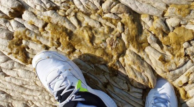 Müsilajın fotoğrafı! 'Bütün marina beton malzemeyle kaplı gibiydi'