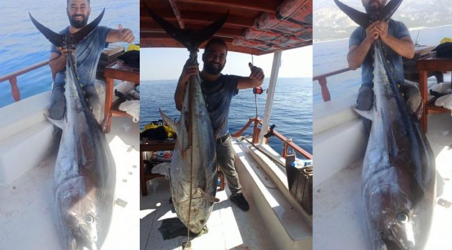 Oltasına kilolarca ağırlığında orkinos takıldı