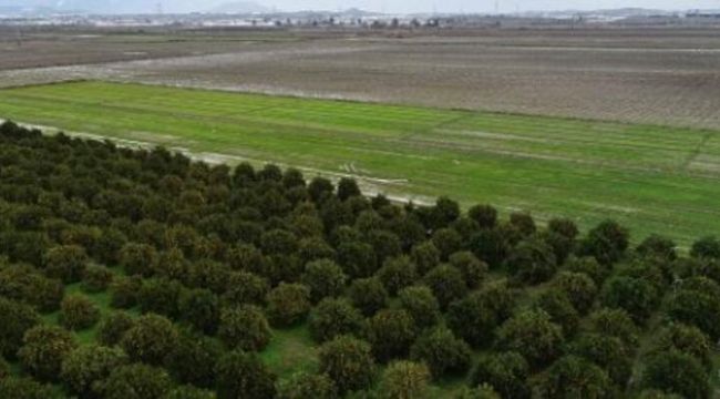 Tarım sezonunda yağışlar azaldı