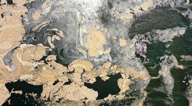 TBMM müsilaj sorununu araştıracak
