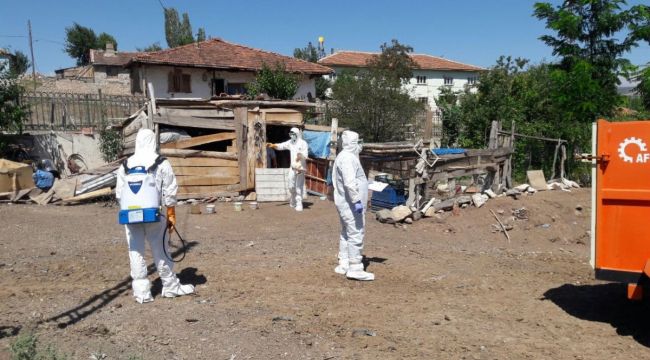 Tokat'ta kuş gribi şüphesi