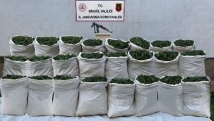 665 kilo esrar, 10 bin kök kenevir ele geçirildi