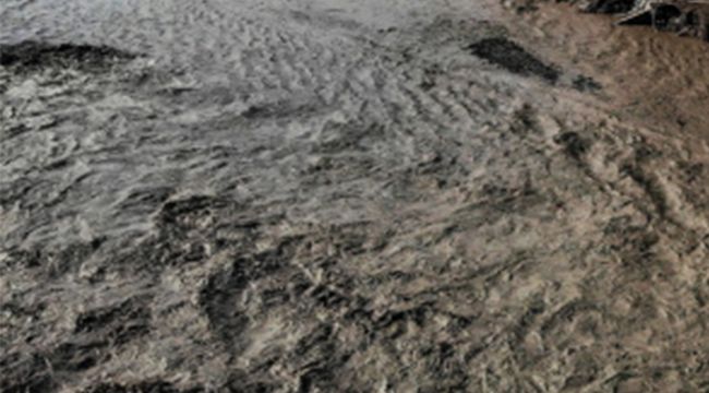 ABD’de sel felaketi: 2’si çocuk 10 kişi hayatını kaybetti