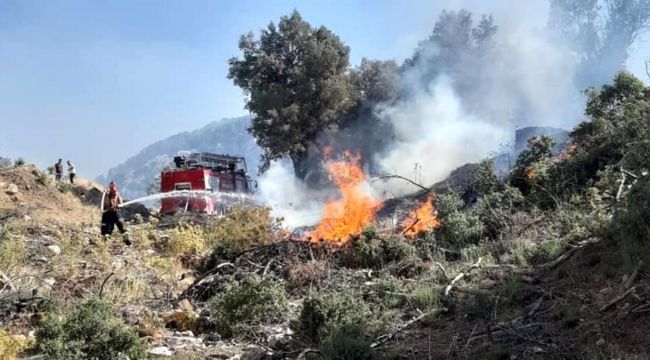 Isparta'nın komandoları yangın bölgesinde