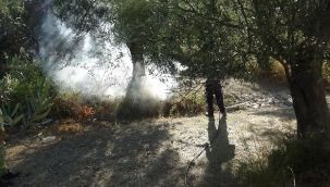 Kazdağları eteklerinde zeytinlik yangını
